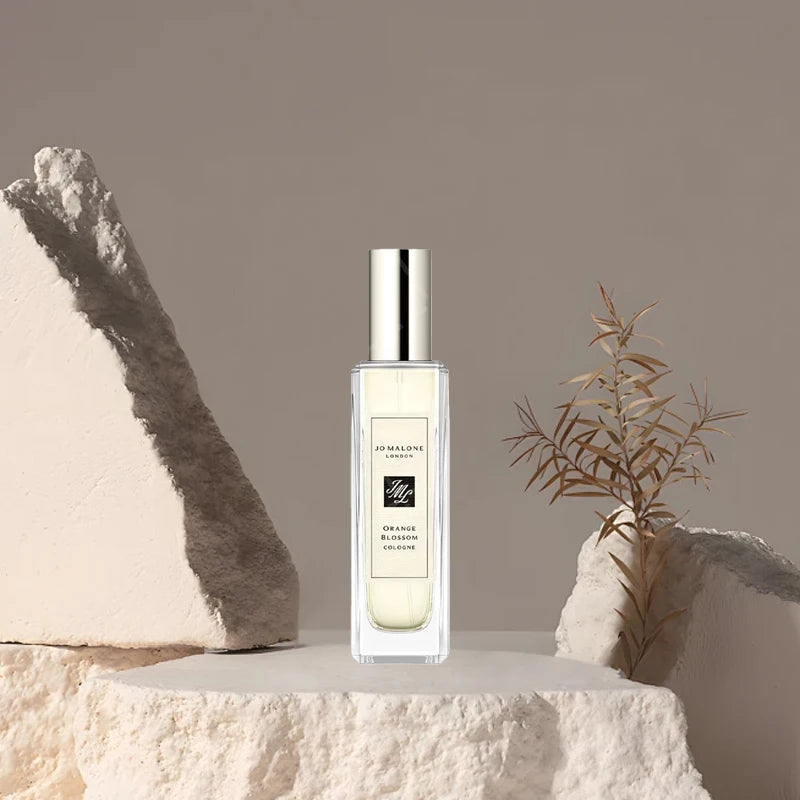 description_selected3