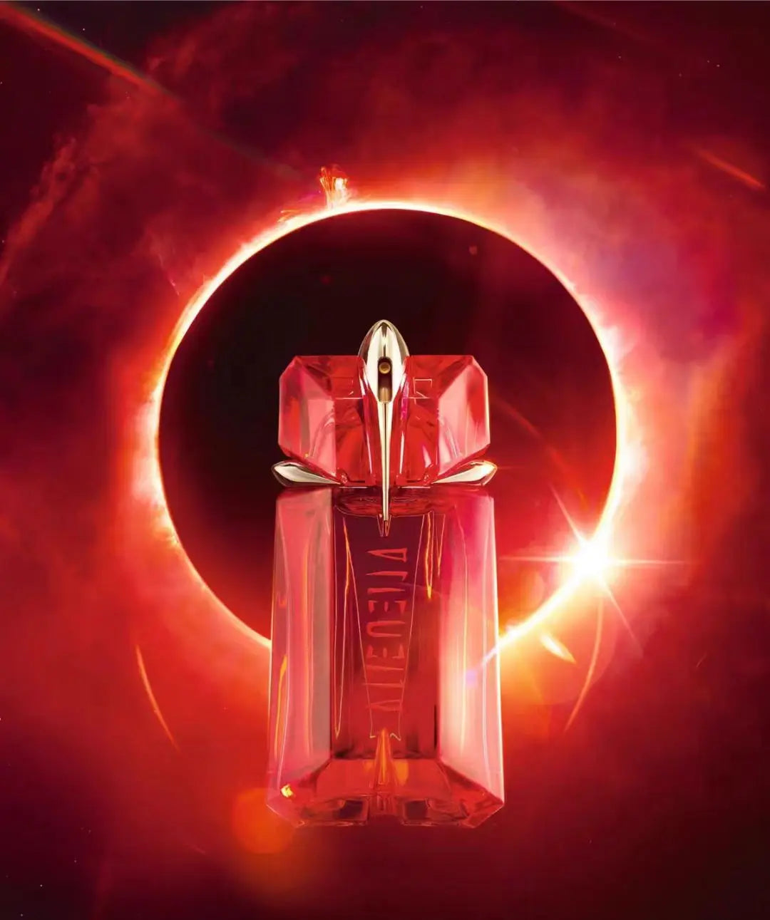 description_selected1