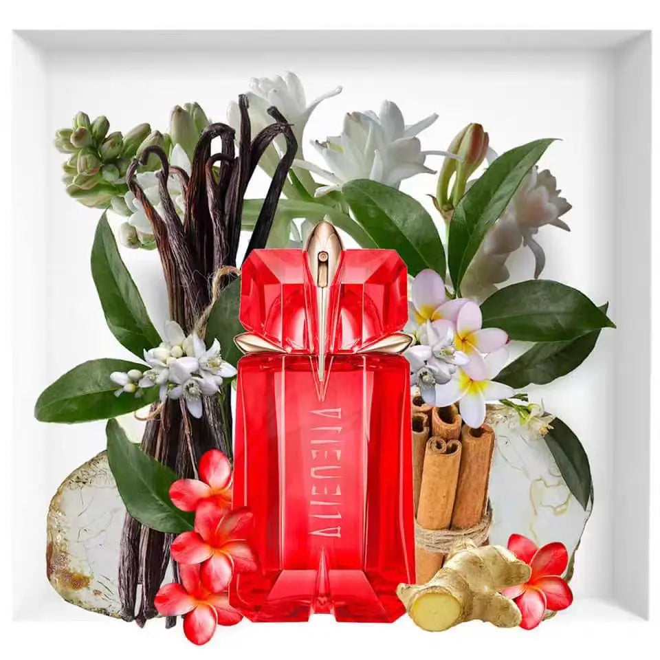 description_selected3