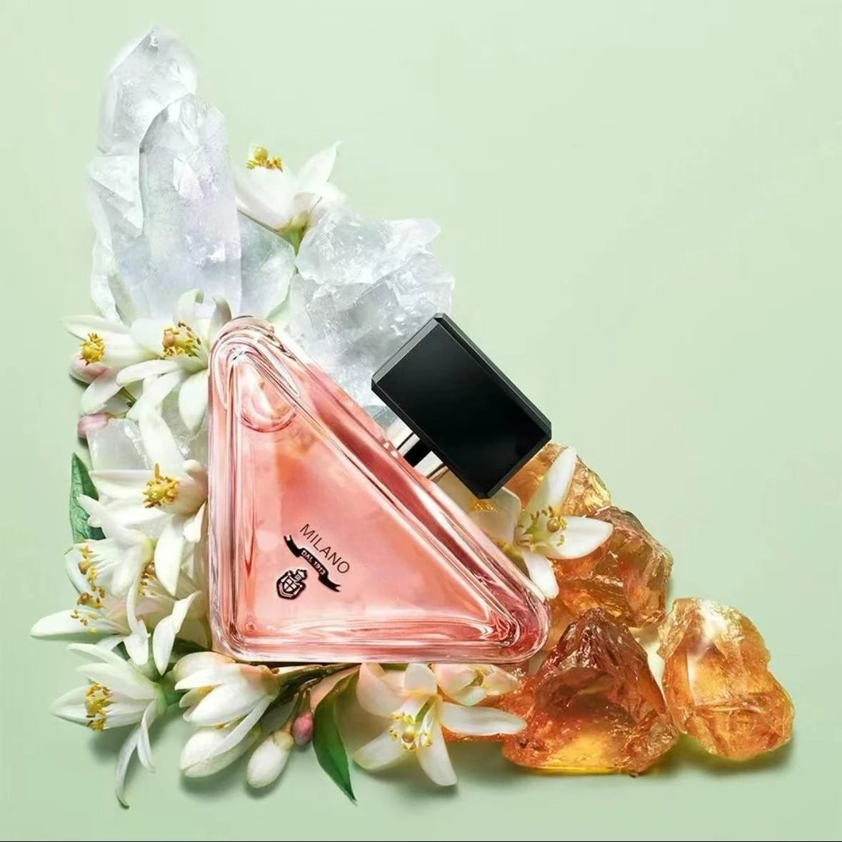 description_selected1