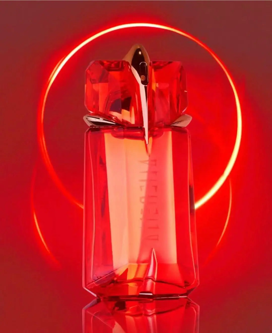 description_selected4