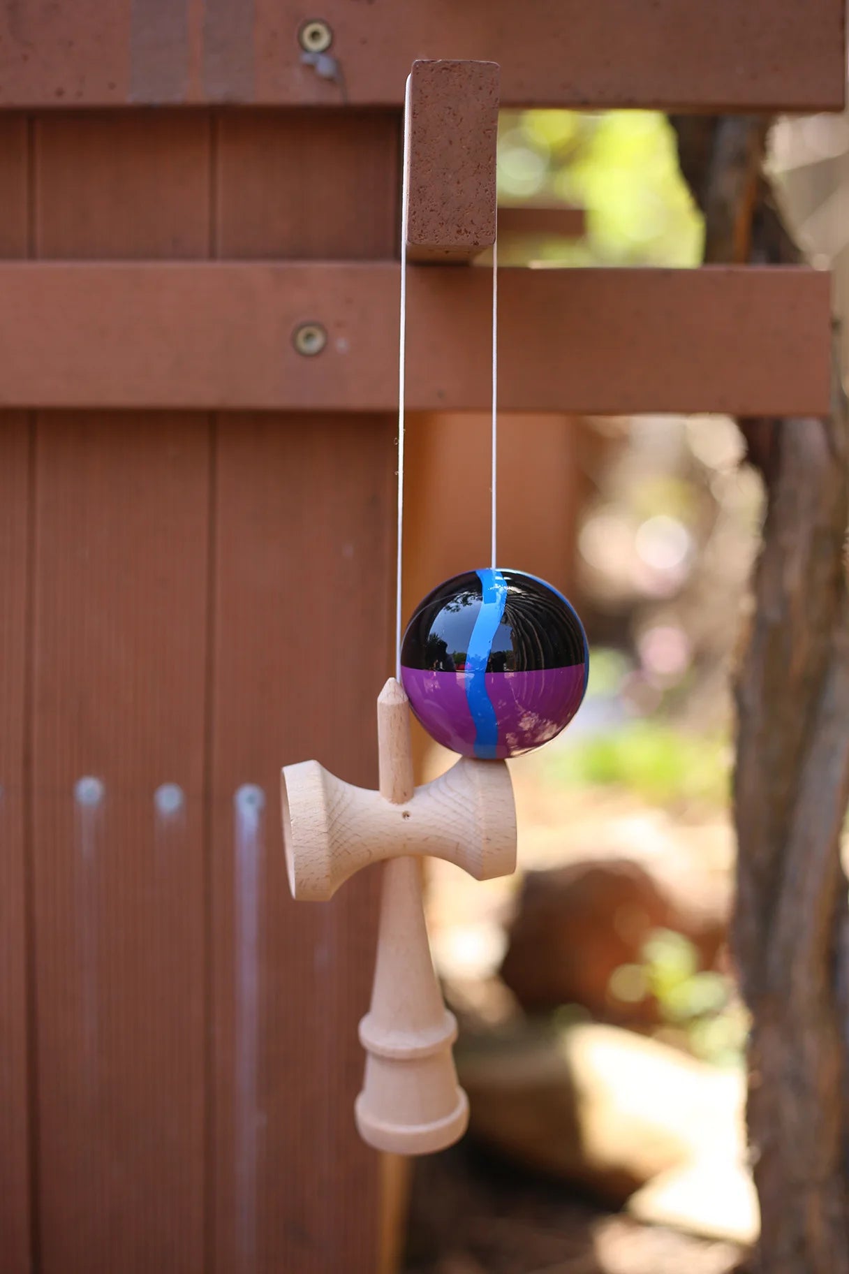 description_selected1