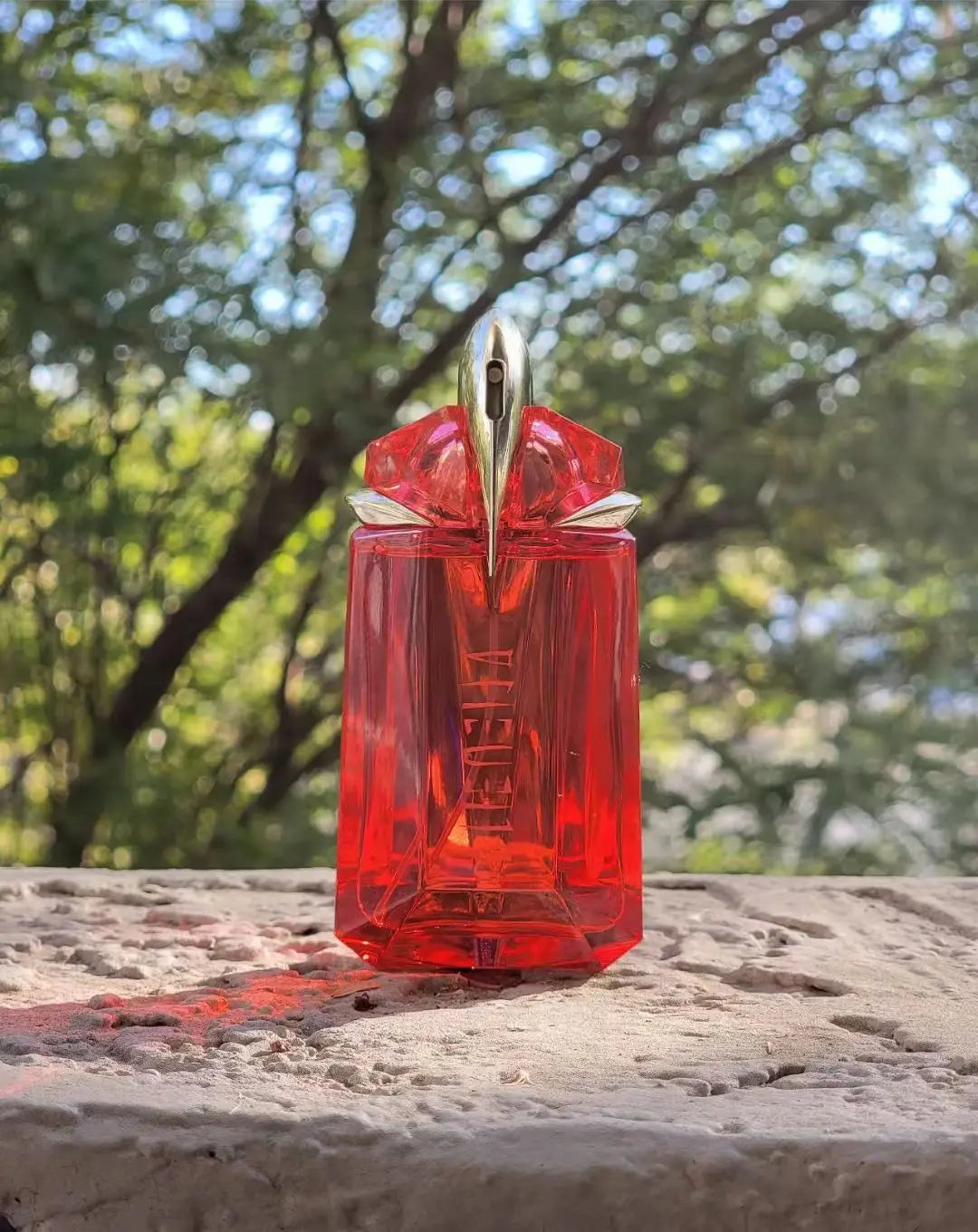 description_selected2